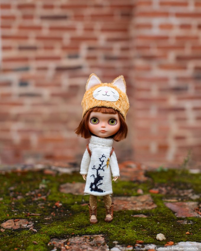 Солнечный кот — Болталка и разговоры обо всем: жизнь