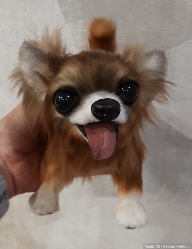 Щенок чихуахуа — Авторские мишки Тедди и друзья: фото (фото 5)