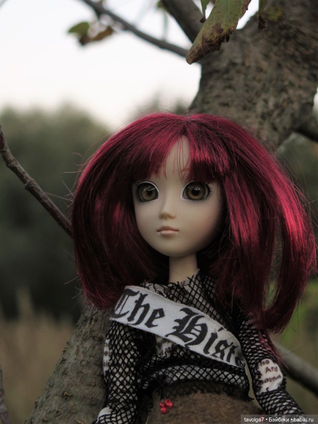 Редкая Hestia Серый Волк и Русская Осень (фото 5)