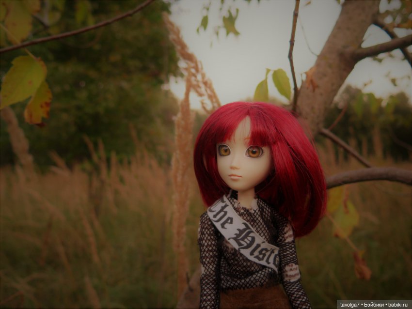 Редкая Hestia Серый Волк и Русская Осень (фото 3)