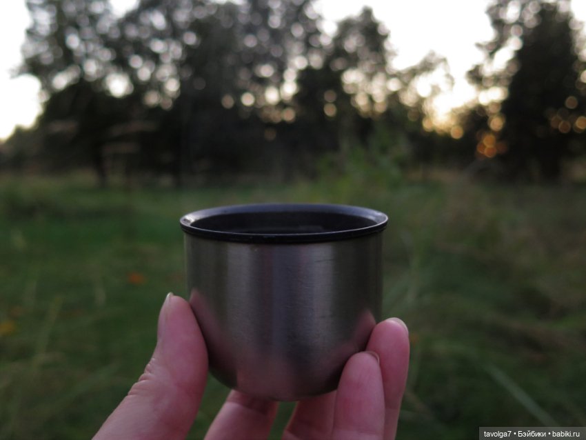 Редкая Hestia Серый Волк и Русская Осень