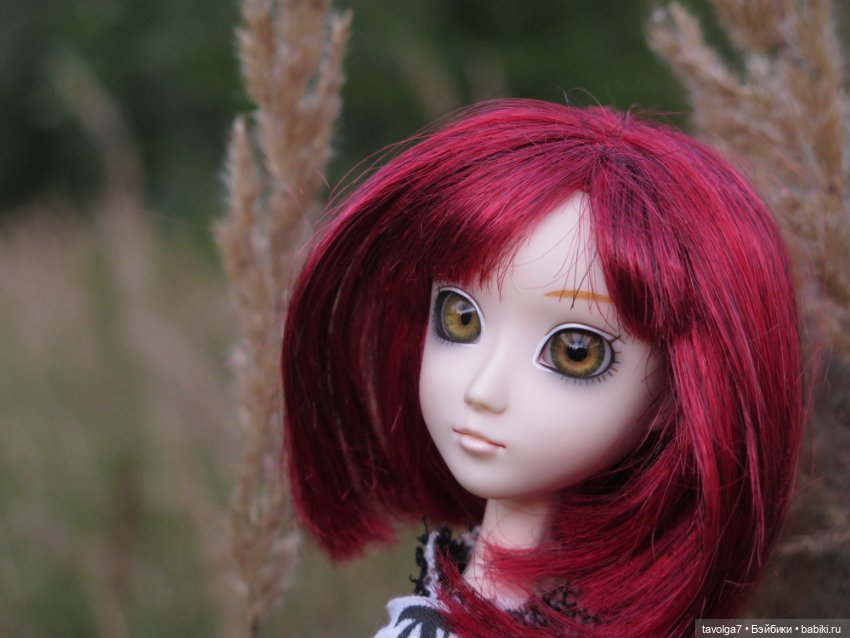 Редкая Hestia Серый Волк и Русская Осень