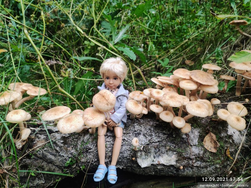 Осень моих мини кукол — Коллекционные куклы разных авторов (Разное): редкие бренды