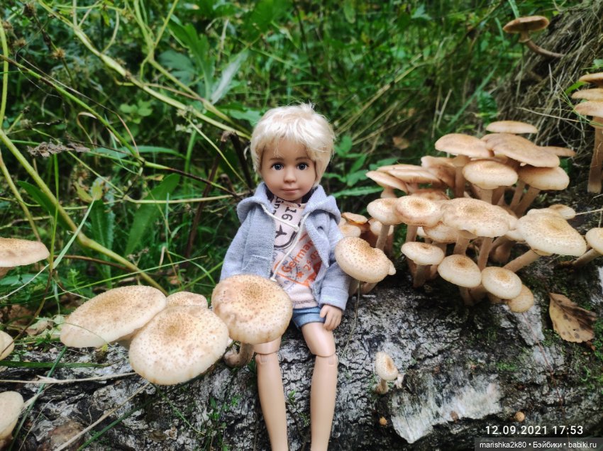 Осень моих мини кукол — Коллекционные куклы разных авторов (Разное): редкие бренды