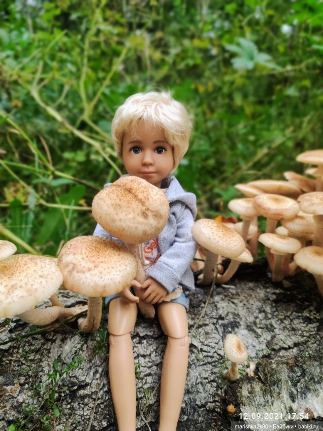 Осень моих мини кукол — Коллекционные куклы разных авторов (Разное): редкие бренды
