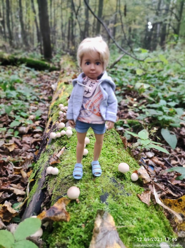 Осень моих мини кукол — Коллекционные куклы разных авторов (Разное): редкие бренды