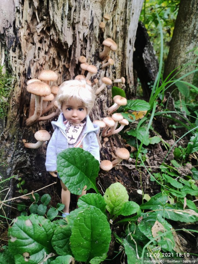 Осень моих мини кукол — Коллекционные куклы разных авторов (Разное): редкие бренды