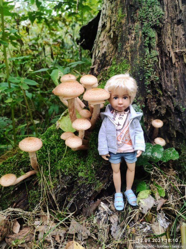 Осень моих мини кукол — Коллекционные куклы разных авторов (Разное): редкие бренды