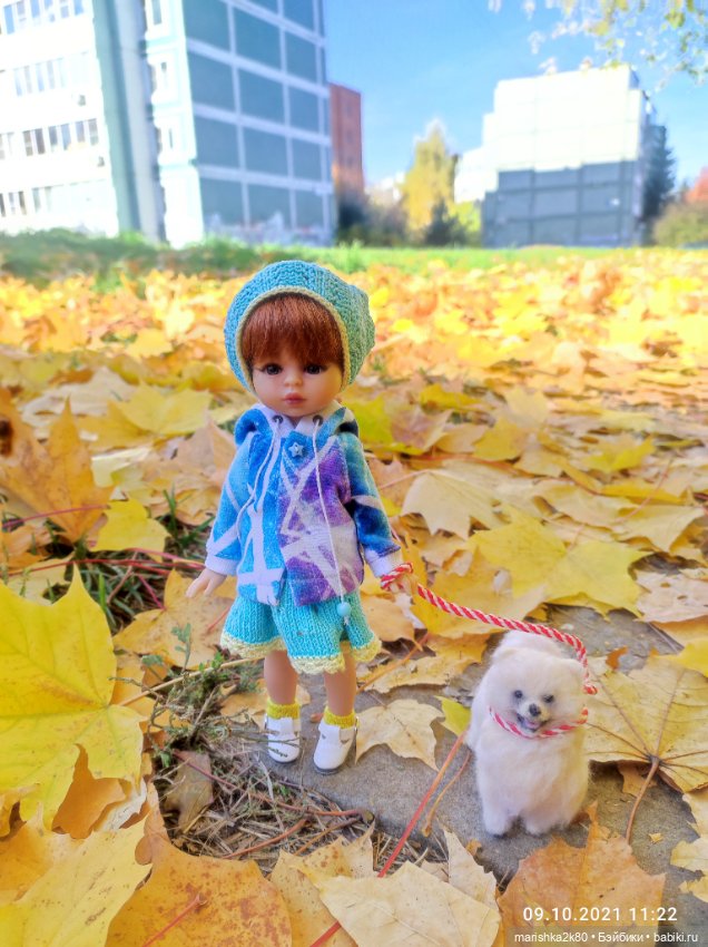 Осень моих мини кукол — Коллекционные куклы разных авторов (Разное): редкие бренды