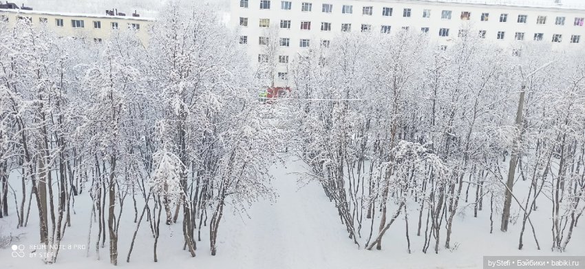 Давно природу не показывала нашу...11.11.2021