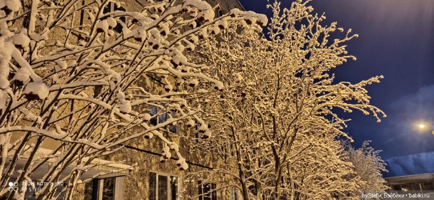 Давно природу не показывала нашу...11.11.2021