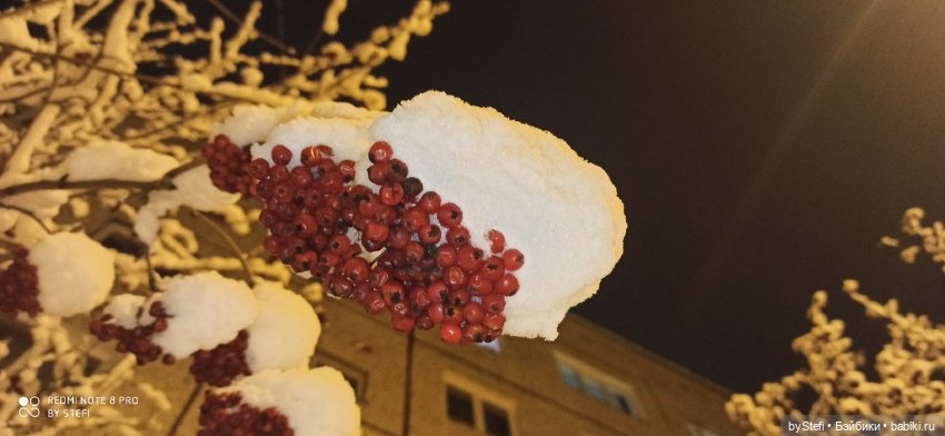 Давно природу не показывала нашу...11.11.2021