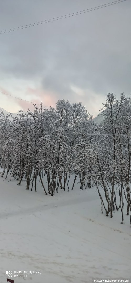 Давно природу не показывала нашу...11.11.2021