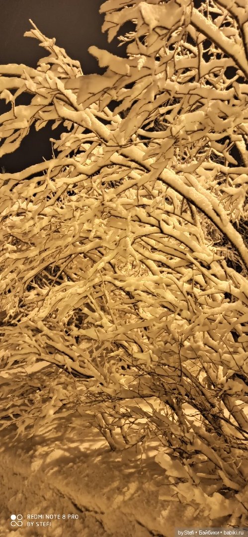 Давно природу не показывала нашу...11.11.2021 (фото 7)