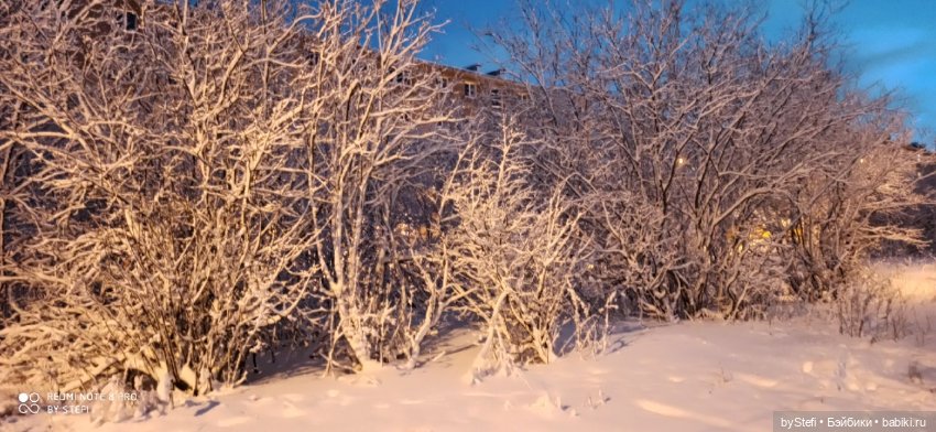 Давно природу не показывала нашу...11.11.2021