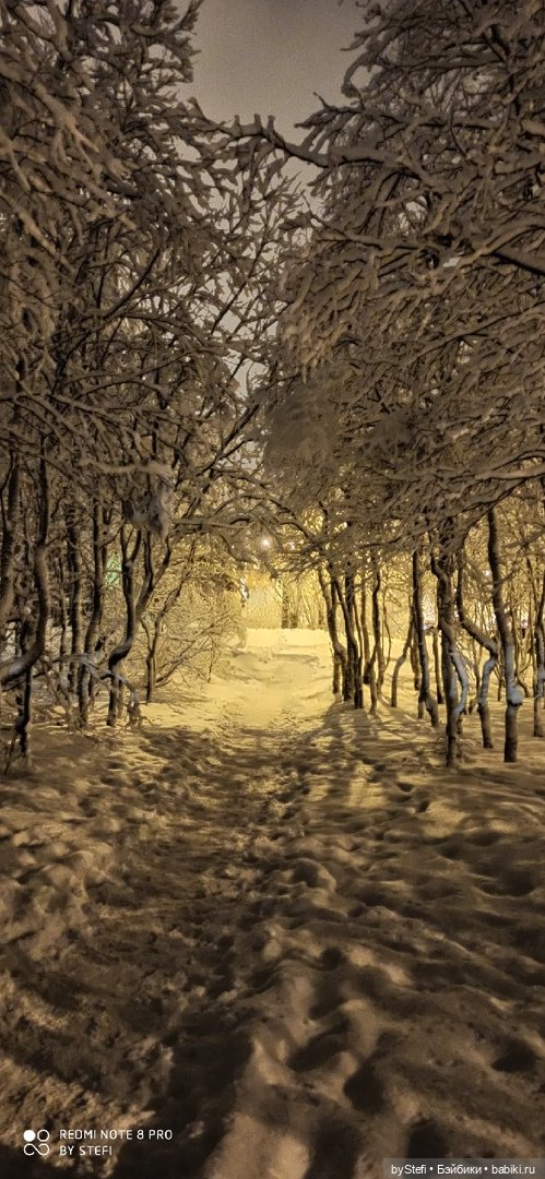 Давно природу не показывала нашу...11.11.2021 (фото 3)