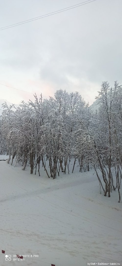 Давно природу не показывала нашу...11.11.2021