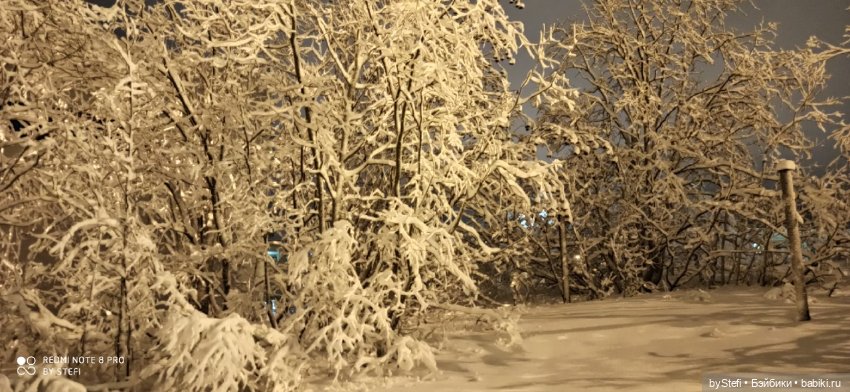 Давно природу не показывала нашу...11.11.2021 (фото 5)