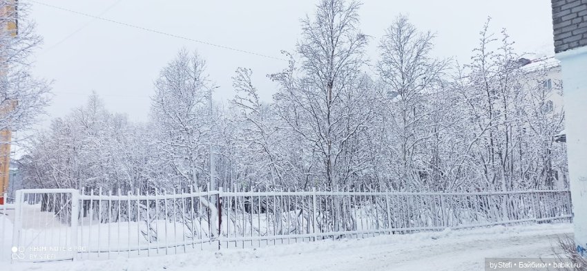Давно природу не показывала нашу...11.11.2021