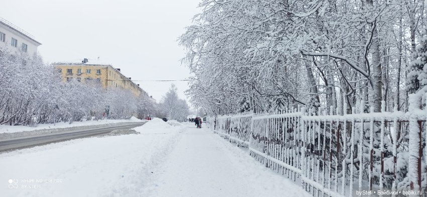 Давно природу не показывала нашу...11.11.2021
