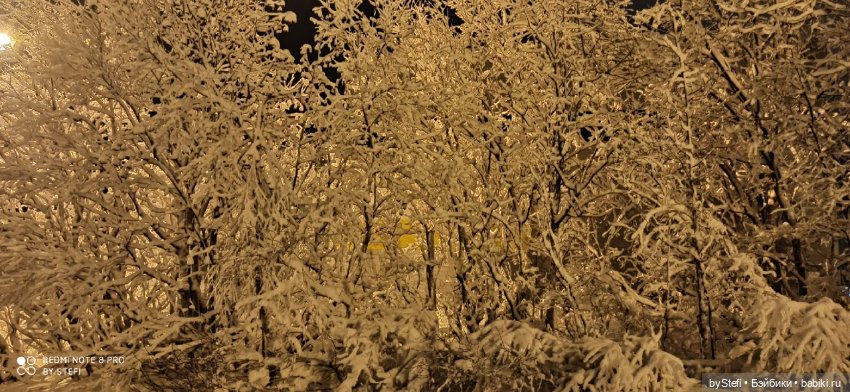 Давно природу не показывала нашу...11.11.2021 (фото 4)