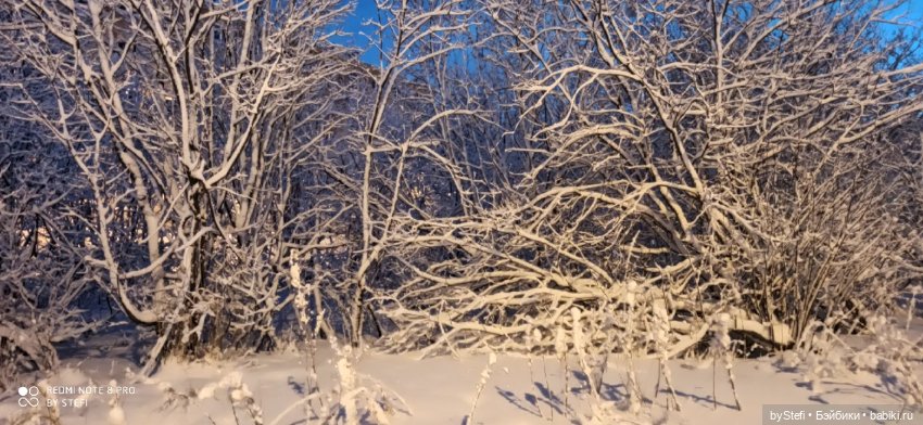 Давно природу не показывала нашу...11.11.2021