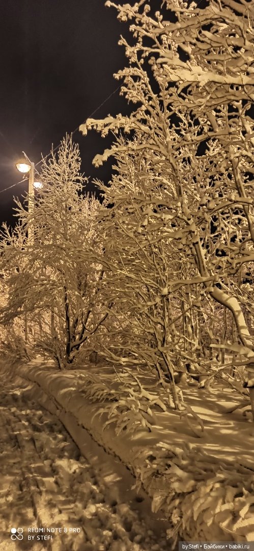 Давно природу не показывала нашу...11.11.2021