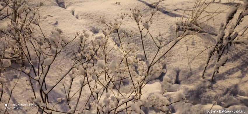 Давно природу не показывала нашу...11.11.2021