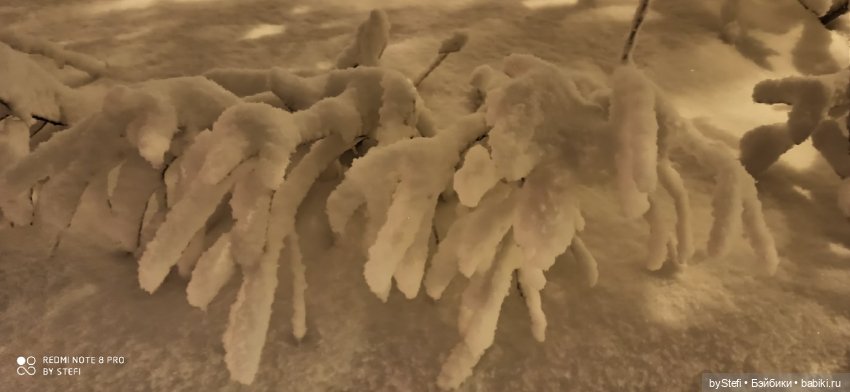 Давно природу не показывала нашу...11.11.2021 (фото 9)