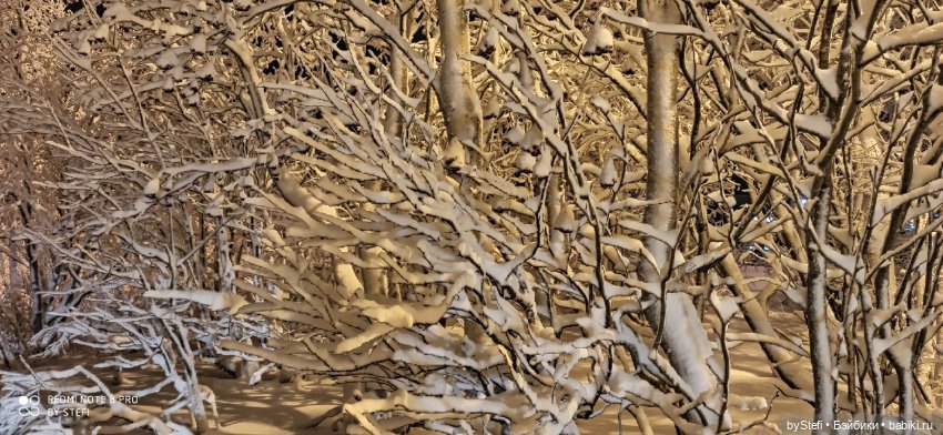 Давно природу не показывала нашу...11.11.2021 (фото 10)