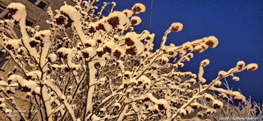 Давно природу не показывала нашу...11.11.2021