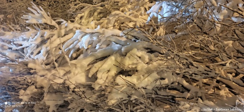 Давно природу не показывала нашу...11.11.2021 (фото 8)