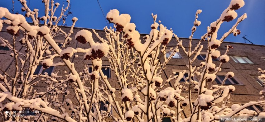 Давно природу не показывала нашу...11.11.2021