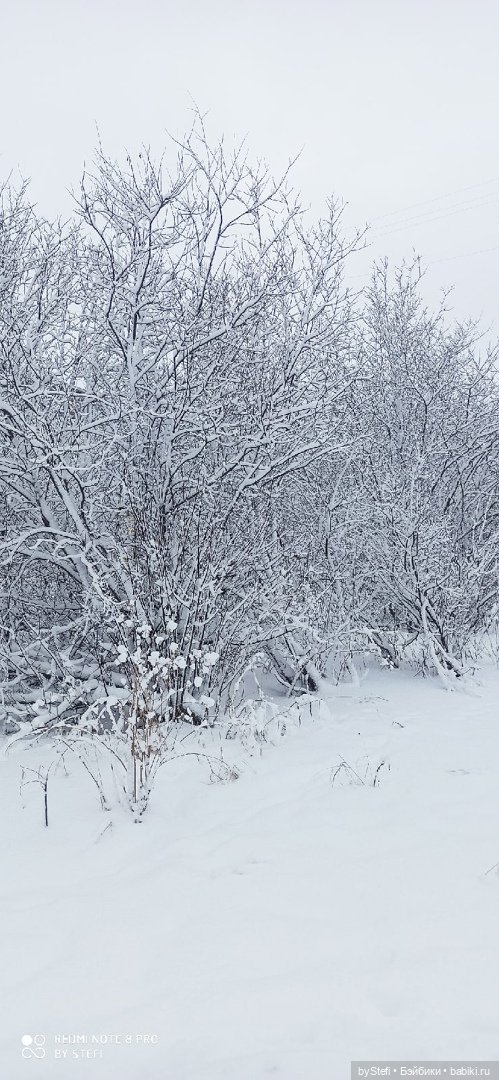 Давно природу не показывала нашу...11.11.2021