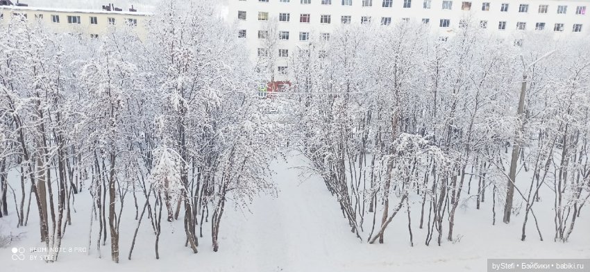 Давно природу не показывала нашу...11.11.2021