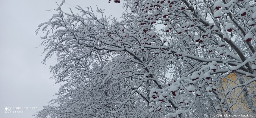 Давно природу не показывала нашу...11.11.2021