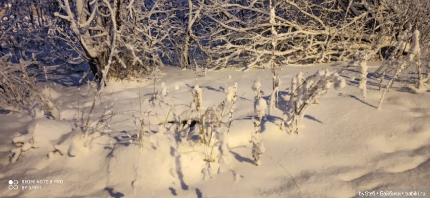 Давно природу не показывала нашу...11.11.2021