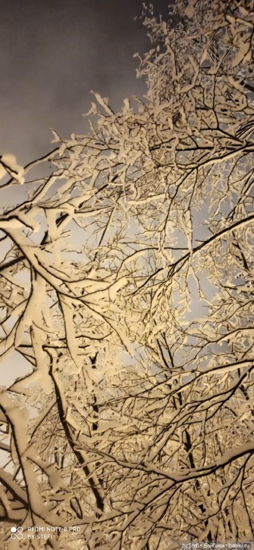 Давно природу не показывала нашу...11.11.2021 (фото 6)
