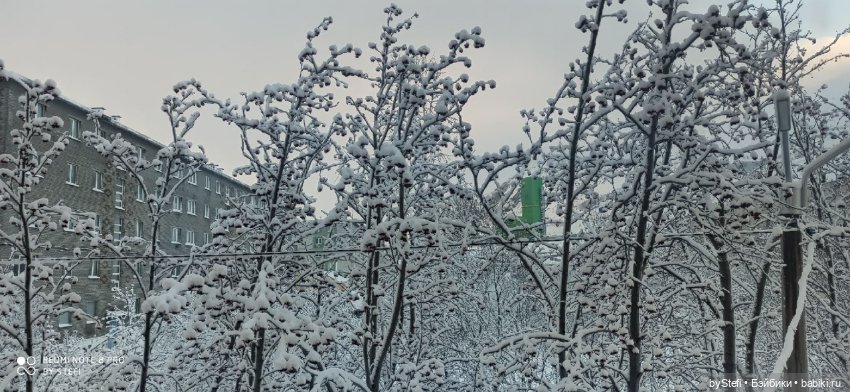 Давно природу не показывала нашу...11.11.2021