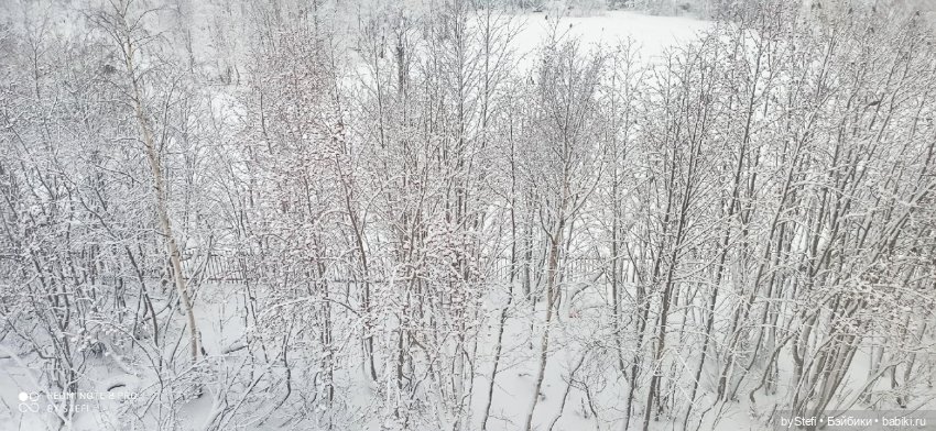 Давно природу не показывала нашу...11.11.2021