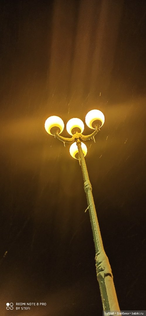 Давно природу не показывала нашу...11.11.2021 (фото 2)