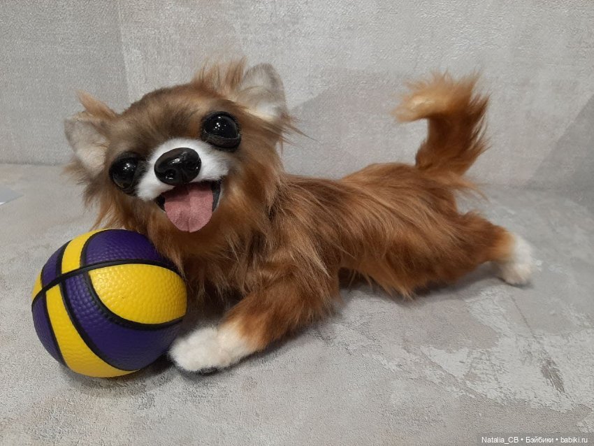 Щенок чихуахуа — Авторские мишки Тедди и друзья: фото (фото 6)