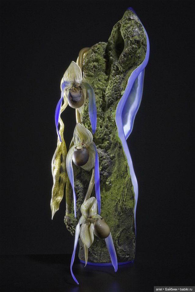 Стеклянные цветы от Деборы Мур (Debora Moore) (фото 5)