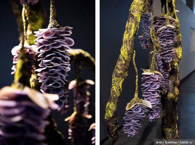 Стеклянные цветы от Деборы Мур (Debora Moore) (фото 7)