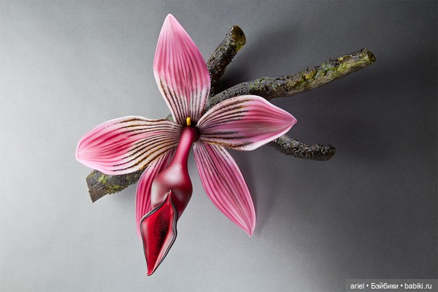 Стеклянные цветы от Деборы Мур (Debora Moore) (фото 6)