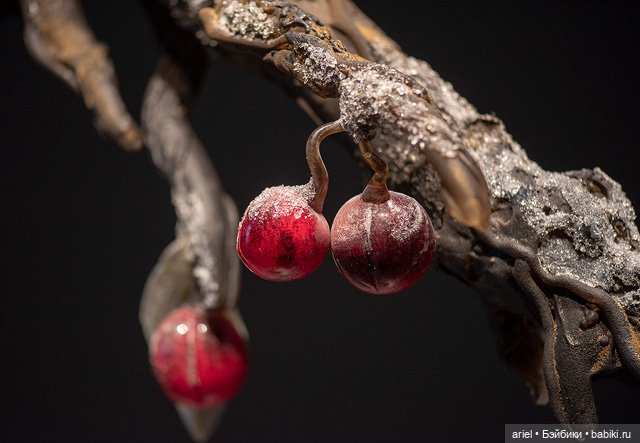 Стеклянные цветы от Деборы Мур (Debora Moore) (фото 3)