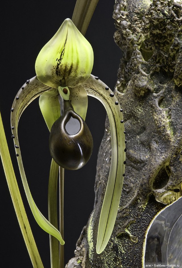 Стеклянные цветы от Деборы Мур (Debora Moore) (фото 4)