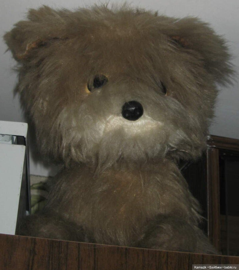 Надежда - мой компас земной (фото 4)