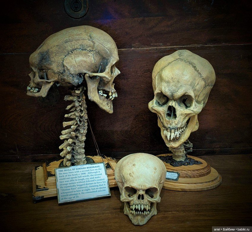 Реалтстичные работы от автора Tom Kuebler (фото 10)