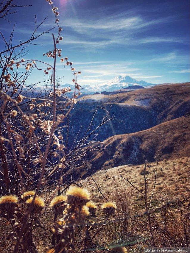 Осень. Горы. Люсенька — Игровые куклы разных производителей (Разное): редкие бренды (фото 8)